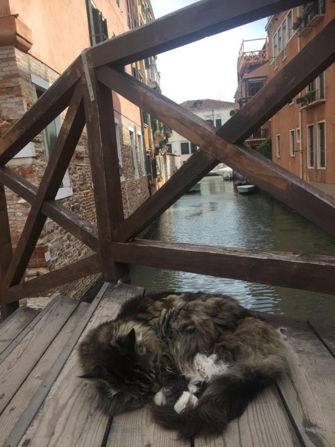 Tintoretto 1 Con Terrazza Sopra Il Tetto, 3 Bagni, 3 Grandi Camere Da Letto, Super Nuovo Венеция Екстериор снимка
